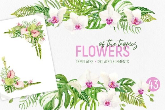 Bring the Island Vibe Home: Flowers of Tropics Watercolor Templates